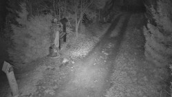 Bílá - běžecká trať