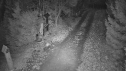 Bílá - běžecká trať