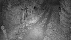 Bílá - běžecká trať