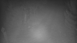 Bílá - běžecká trať