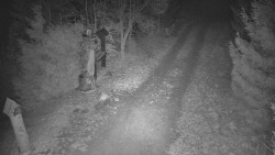 Bílá - běžecká trať