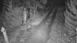 Bílá - běžecká trať