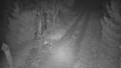 Bílá - běžecká trať