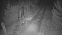 Bílá - běžecká trať