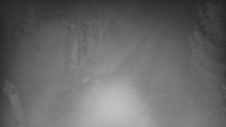 Bílá - běžecká trať