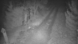 Bílá - běžecká trať