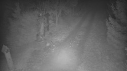 Bílá - běžecká trať