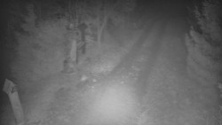 Bílá - běžecká trať