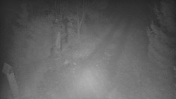 Bílá - běžecká trať