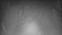 Bílá - běžecká trať