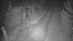 Bílá - běžecká trať