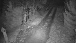 Bílá - běžecká trať