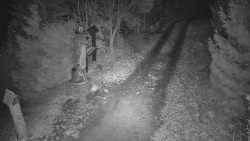 Bílá - běžecká trať