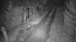 Bílá - běžecká trať