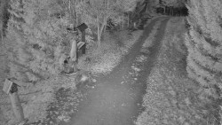 Bílá - běžecká trať