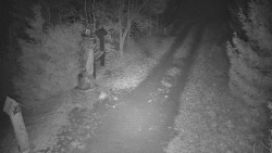 Bílá - běžecká trať