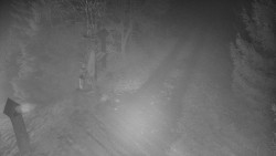 Bílá - běžecká trať