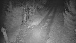 Bílá - běžecká trať