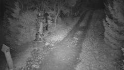 Bílá - běžecká trať