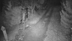 Bílá - běžecká trať