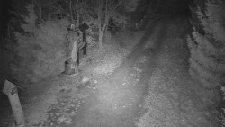 Bílá - běžecká trať