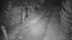 Bílá - běžecká trať