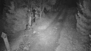 Skiareál Bílá - Bílá - běžecká trať - 16.12.2025 v 00:30 Skiareál Bílá - Bílá - běžecká trať - 16.12.2025 v 00:30