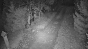 Skiareál Bílá - Bílá - běžecká trať - 16.12.2025 v 06:30 Skiareál Bílá - Bílá - běžecká trať - 16.12.2025 v 06:30