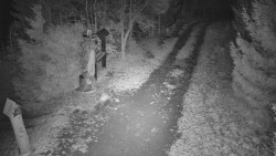 Bílá - běžecká trať