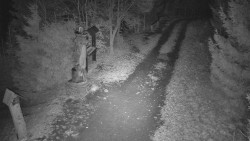 Bílá - běžecká trať