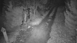 Bílá - běžecká trať