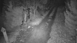 Bílá - běžecká trať