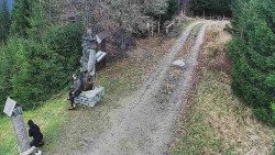 Bílá - běžecká trať