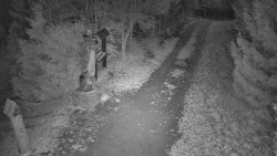 Bílá - běžecká trať