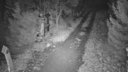 Bílá - běžecká trať