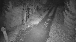 Bílá - běžecká trať