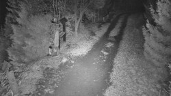 Bílá - běžecká trať