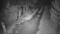 Bílá - běžecká trať