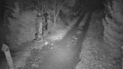 Bílá - běžecká trať