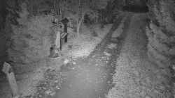 Bílá - běžecká trať