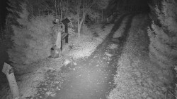 Bílá - běžecká trať