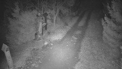 Bílá - běžecká trať