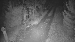 Bílá - běžecká trať