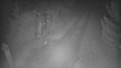 Bílá - běžecká trať