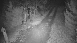 Bílá - běžecká trať