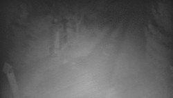 Bílá - běžecká trať