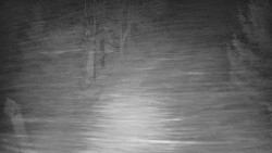 Bílá - běžecká trať