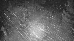 Bílá - běžecká trať