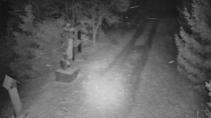 Skiareál Bílá - Bílá - běžecká trať - 26.12.2025 v 00:00 Skiareál Bílá - Bílá - běžecká trať - 26.12.2025 v 00:00