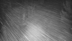 Bílá - běžecká trať